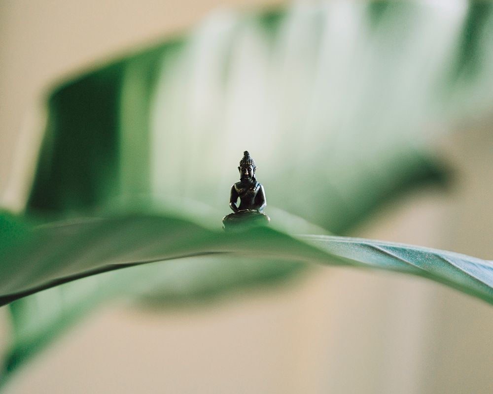 muy pequena estatua de buda en una hoja de planta grande
