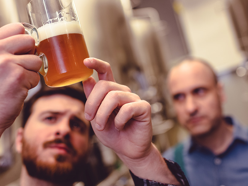 propietario-inspeccionando-cerveza-en-jarra