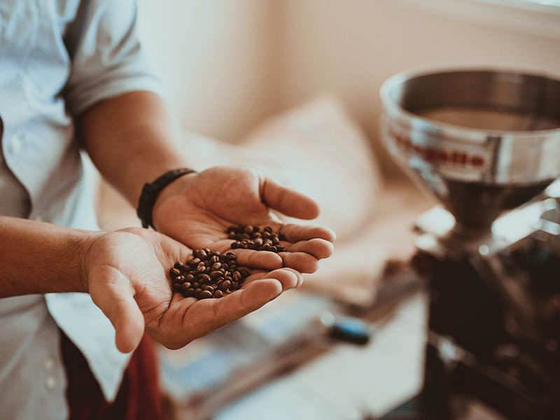 seccion-media-de-un-hombre-sosteniendo-granos-de-cafe-mientras-esta-de-pie-en-la-tienda